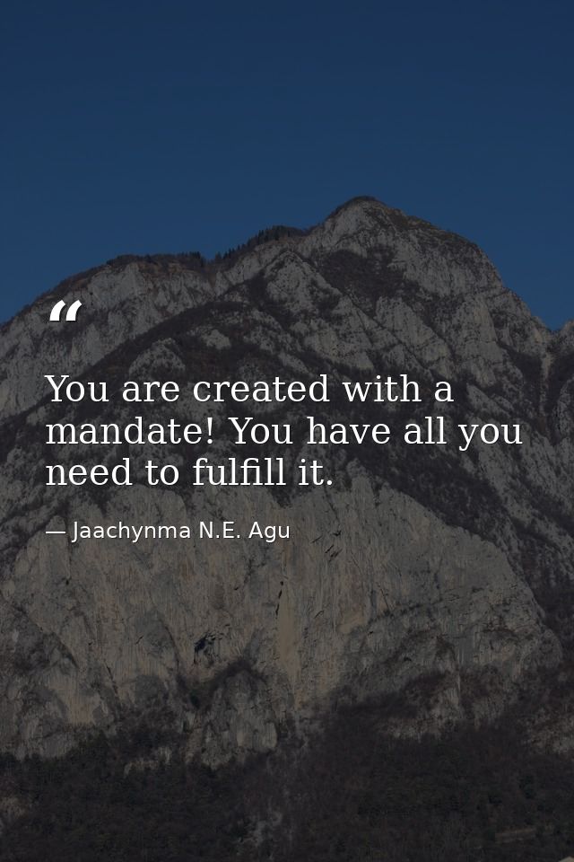 You are created with a mandate! You have all you need to fulfill it. — Jaachynma N.E. Agu