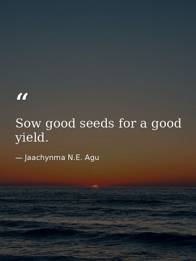 Sow good seeds for a good yield. — Jaachynma N.E. Agu
