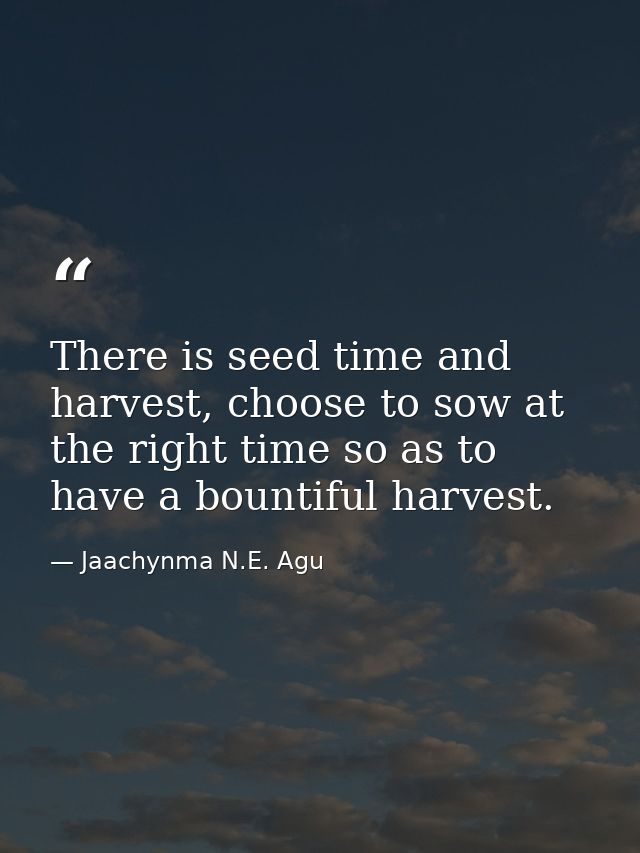 There is seed time and harvest, choose to sow at the right time so as to have a bountiful harvest. — Jaachynma N.E. Agu