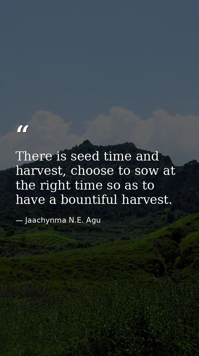 There is seed time and harvest, choose to sow at the right time so as to have a bountiful harvest. — Jaachynma N.E. Agu