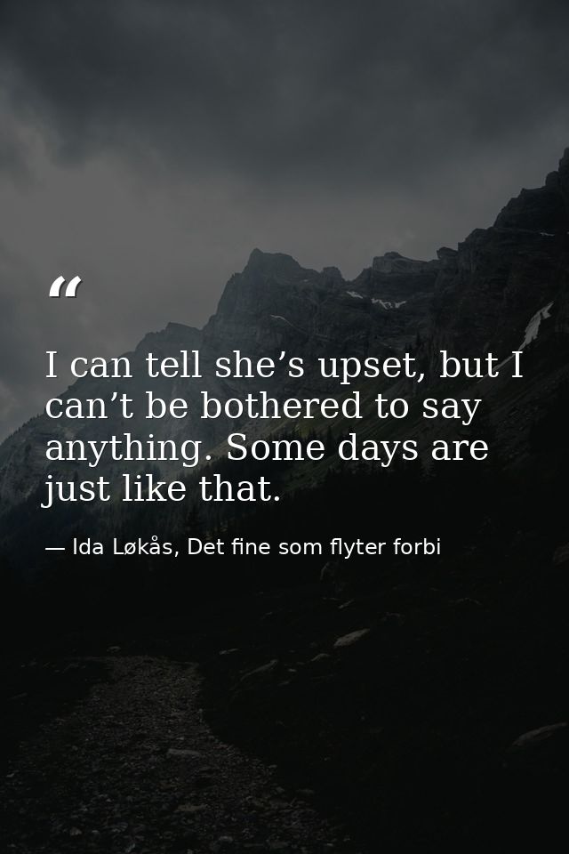 I can tell she’s upset, but I can’t be bothered to say anything. Some days are just like that. — Ida Løkås, Det fine som flyter forbi