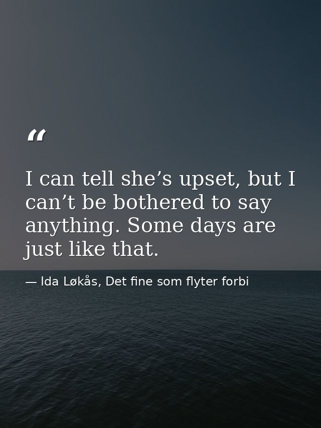 I can tell she’s upset, but I can’t be bothered to say anything. Some days are just like that. — Ida Løkås, Det fine som flyter forbi