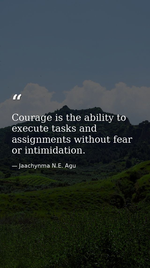 Courage is the ability to execute tasks and assignments without fear or intimidation. — Jaachynma N.E. Agu