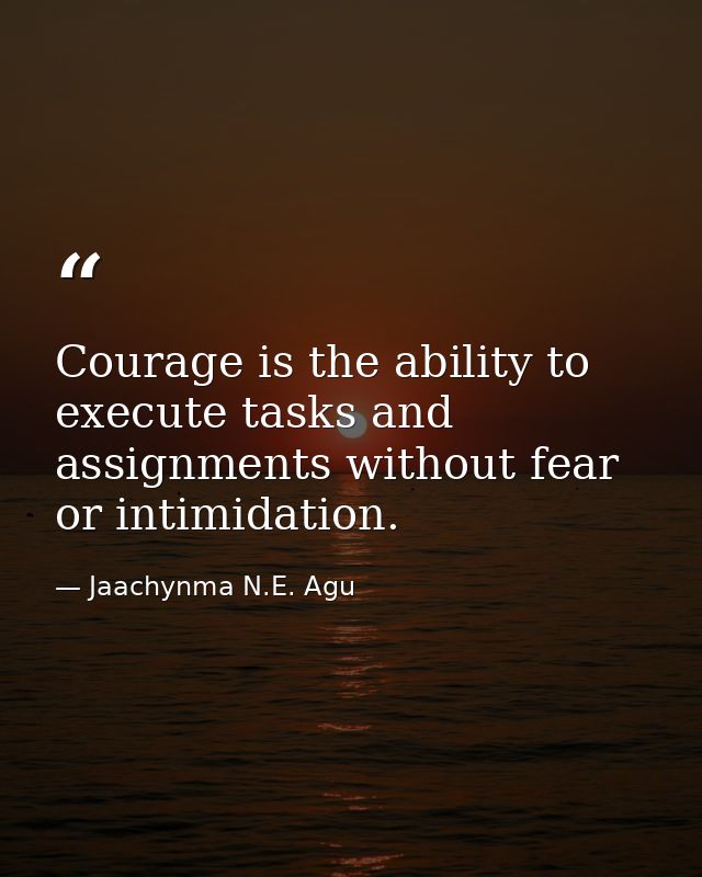 Courage is the ability to execute tasks and assignments without fear or intimidation. — Jaachynma N.E. Agu