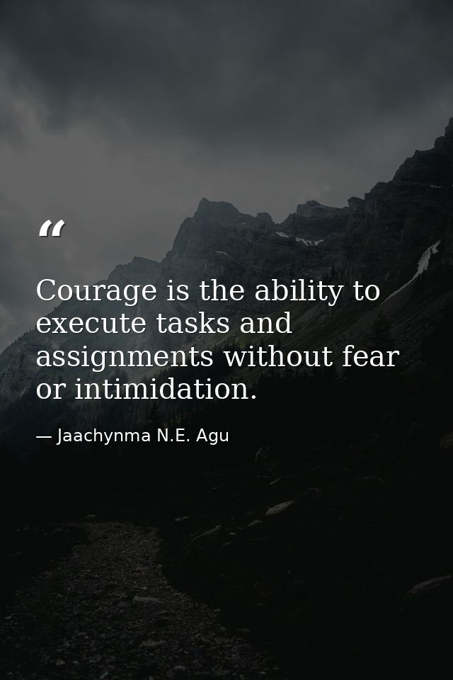 Courage is the ability to execute tasks and assignments without fear or intimidation. — Jaachynma N.E. Agu