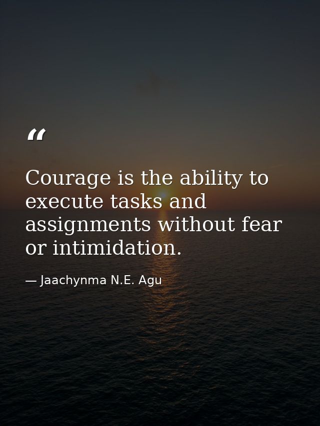 Courage is the ability to execute tasks and assignments without fear or intimidation. — Jaachynma N.E. Agu
