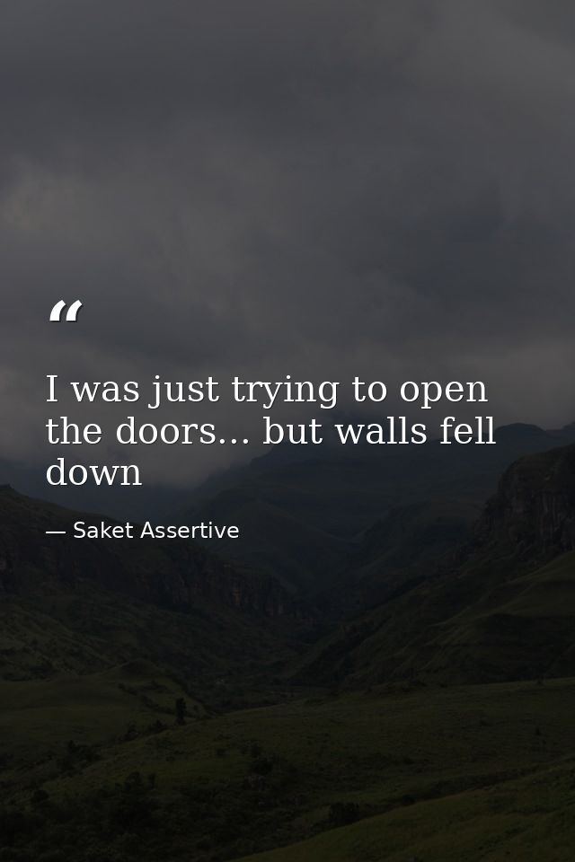 I was just trying to open the doors... but walls fell down — Saket Assertive