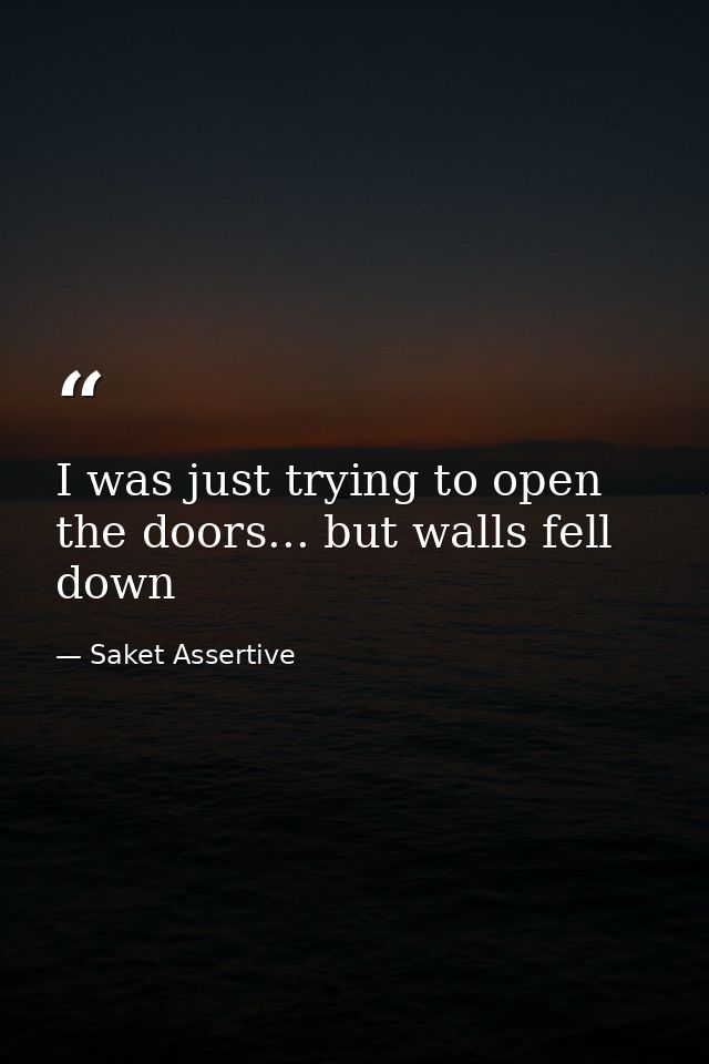 I was just trying to open the doors... but walls fell down — Saket Assertive