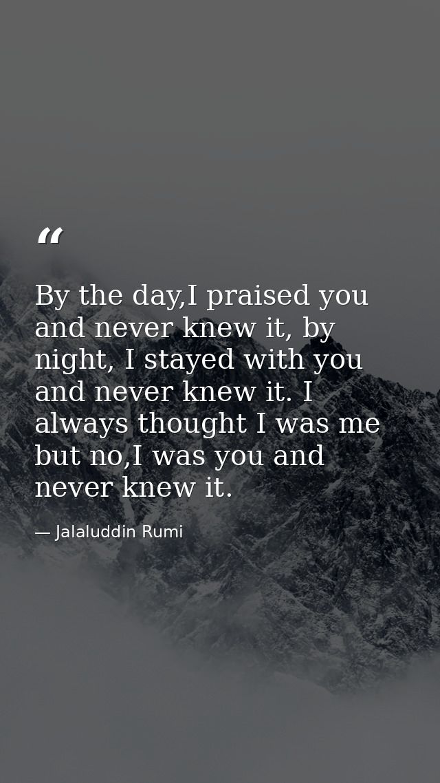 By the day,I praised you and never knew it, by night, I stayed with you and never knew it. I always thought I was me but — Jalaluddin Rumi