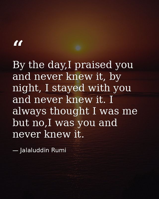 By the day,I praised you and never knew it, by night, I stayed with you and never knew it. I always thought I was me but — Jalaluddin Rumi