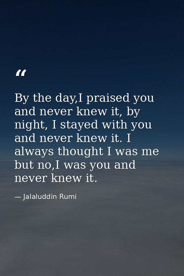 By the day,I praised you and never knew it, by night, I stayed with you and never knew it. I always thought I was me but — Jalaluddin Rumi