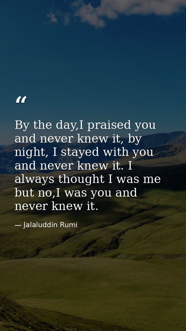 By the day,I praised you and never knew it, by night, I stayed with you and never knew it. I always thought I was me but — Jalaluddin Rumi