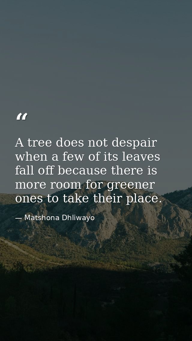A tree does not despair when a few of its leaves fall off because there is more room for greener ones to take their plac — Matshona Dhliwayo