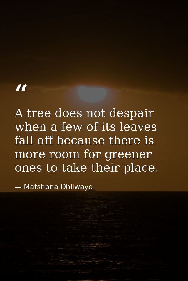 A tree does not despair when a few of its leaves fall off because there is more room for greener ones to take their plac — Matshona Dhliwayo