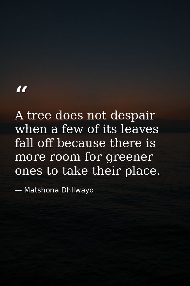 A tree does not despair when a few of its leaves fall off because there is more room for greener ones to take their plac — Matshona Dhliwayo