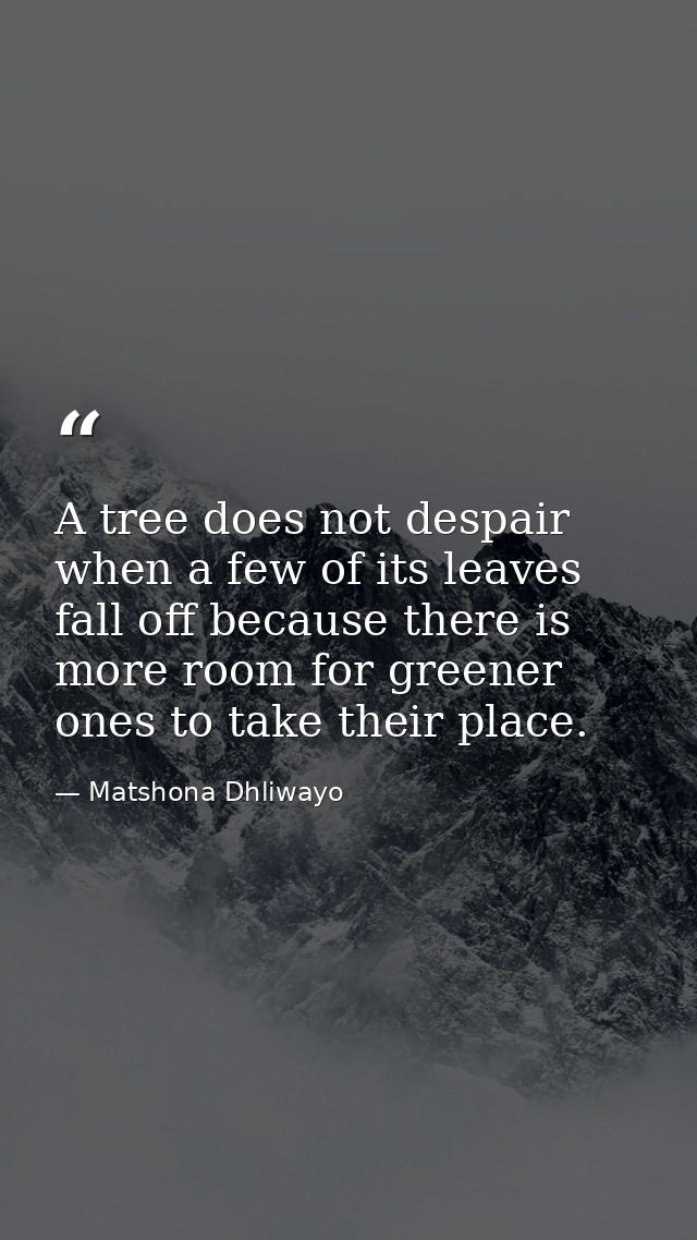 A tree does not despair when a few of its leaves fall off because there is more room for greener ones to take their plac — Matshona Dhliwayo