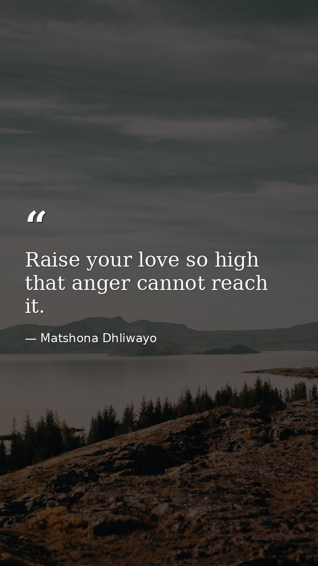 Raise your love so high that anger cannot reach it. — Matshona Dhliwayo