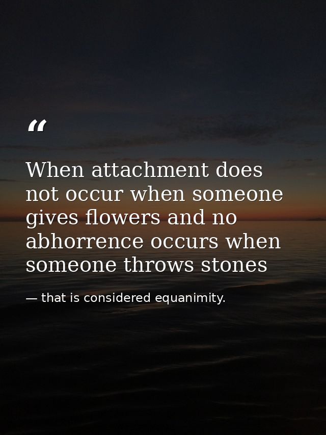 When attachment does not occur when someone gives flowers and no abhorrence occurs when someone throws stones — that is considered equanimity.