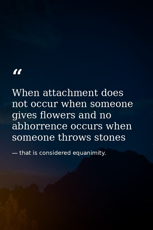 When attachment does not occur when someone gives flowers and no abhorrence occurs when someone throws stones — that is considered equanimity.
