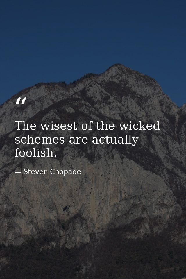 The wisest of the wicked schemes are actually foolish. — Steven Chopade