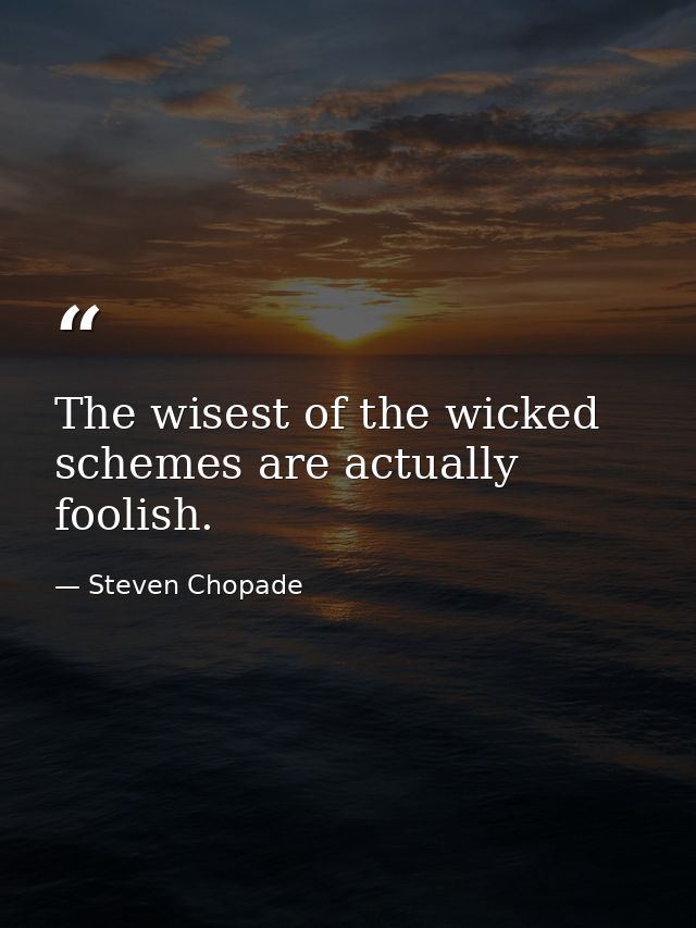 The wisest of the wicked schemes are actually foolish. — Steven Chopade