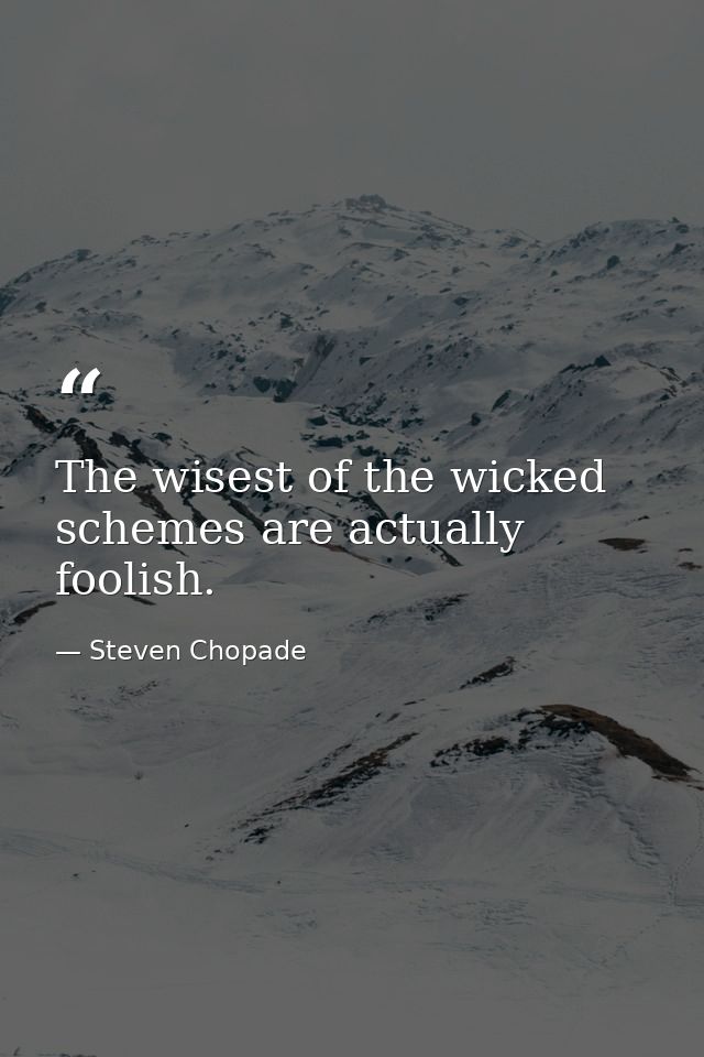 The wisest of the wicked schemes are actually foolish. — Steven Chopade