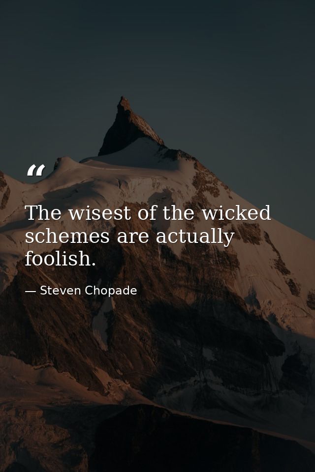 The wisest of the wicked schemes are actually foolish. — Steven Chopade