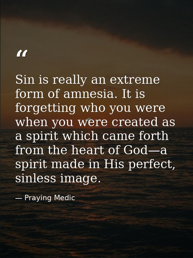 Sin is really an extreme form of amnesia. It is forgetting who you were when you were created as a spirit which came for — Praying Medic