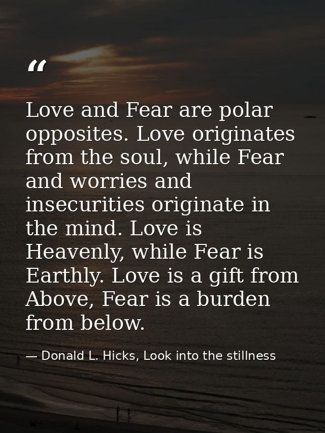 Love and Fear are polar opposites. Love originates from the soul, while Fear and worries and insecurities originate in t — Donald L. Hicks, Look into the stillness