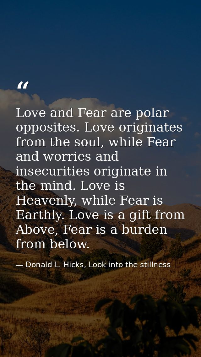 Love and Fear are polar opposites. Love originates from the soul, while Fear and worries and insecurities originate in t — Donald L. Hicks, Look into the stillness
