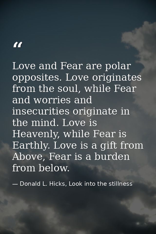 Love and Fear are polar opposites. Love originates from the soul, while Fear and worries and insecurities originate in t — Donald L. Hicks, Look into the stillness