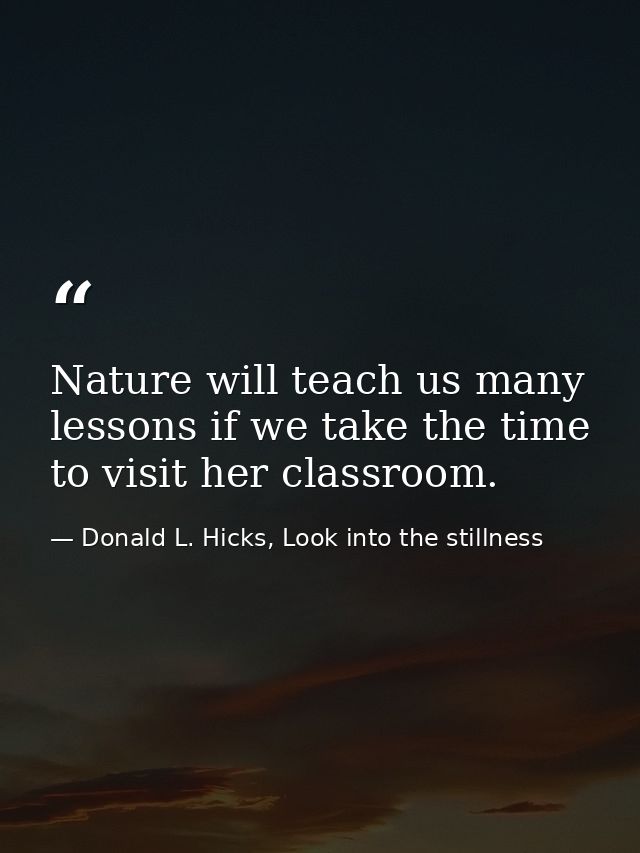 Nature will teach us many lessons if we take the time to visit her classroom. — Donald L. Hicks, Look into the stillness