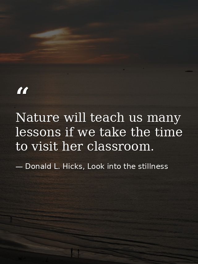 Nature will teach us many lessons if we take the time to visit her classroom. — Donald L. Hicks, Look into the stillness
