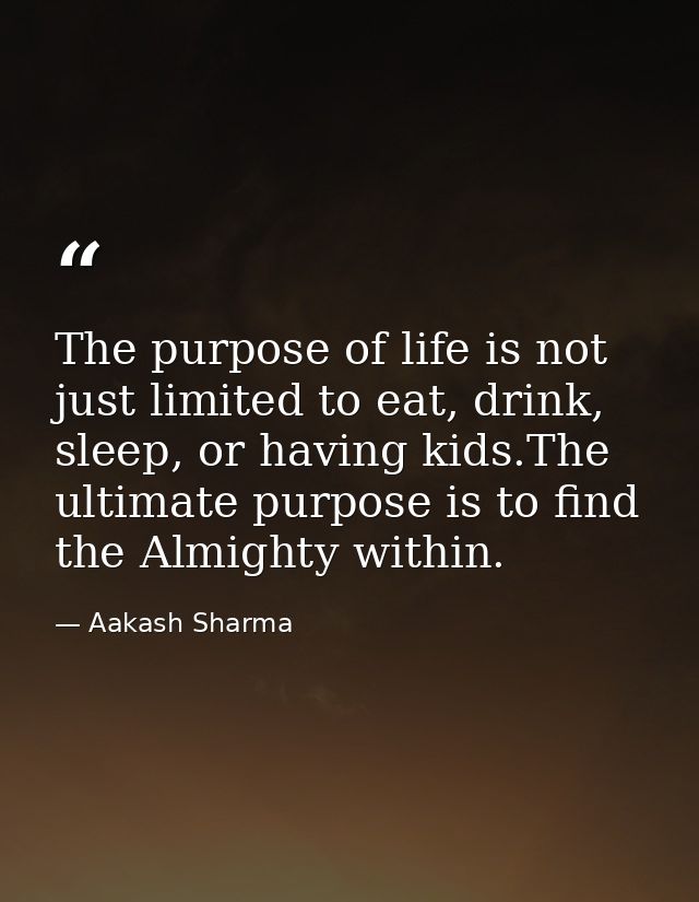 The purpose of life is not just limited to eat, drink, sleep, or having kids.The ultimate purpose is to find the Almight — Aakash Sharma
