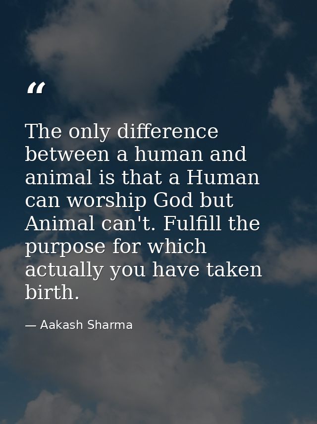 The only difference between a human and animal is that a Human can worship God but Animal can't. Fulfill the purpose for — Aakash Sharma
