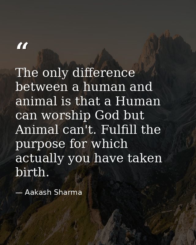 The only difference between a human and animal is that a Human can worship God but Animal can't. Fulfill the purpose for — Aakash Sharma
