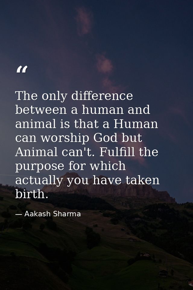 The only difference between a human and animal is that a Human can worship God but Animal can't. Fulfill the purpose for — Aakash Sharma