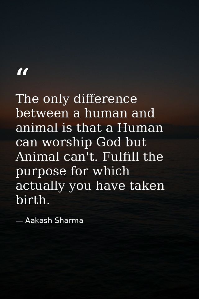 The only difference between a human and animal is that a Human can worship God but Animal can't. Fulfill the purpose for — Aakash Sharma