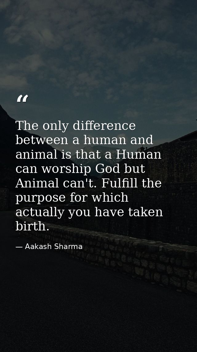 The only difference between a human and animal is that a Human can worship God but Animal can't. Fulfill the purpose for — Aakash Sharma