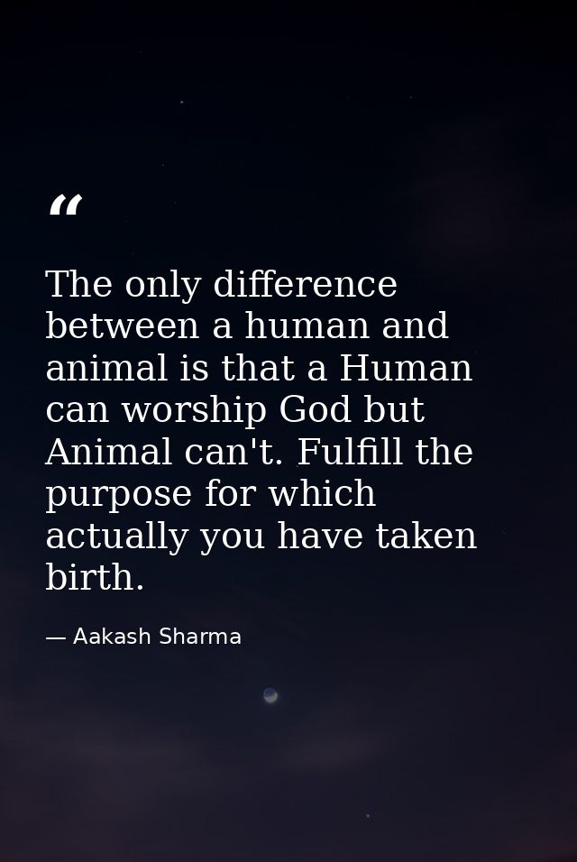The only difference between a human and animal is that a Human can worship God but Animal can't. Fulfill the purpose for — Aakash Sharma