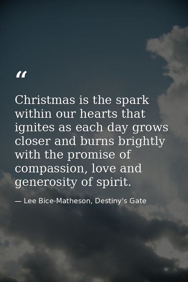 Christmas is the spark within our hearts that ignites as each day grows closer and burns brightly with the promise of co — Lee Bice-Matheson, Destiny's Gate