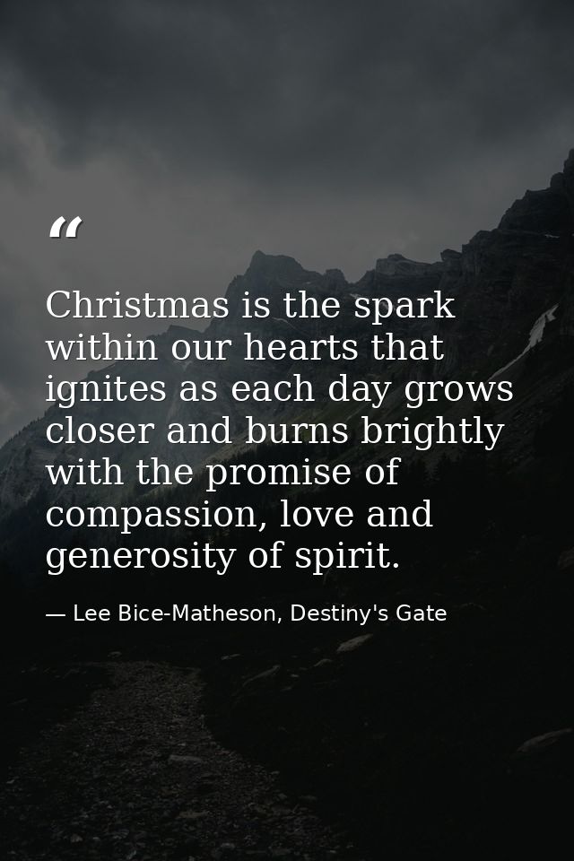 Christmas is the spark within our hearts that ignites as each day grows closer and burns brightly with the promise of co — Lee Bice-Matheson, Destiny's Gate