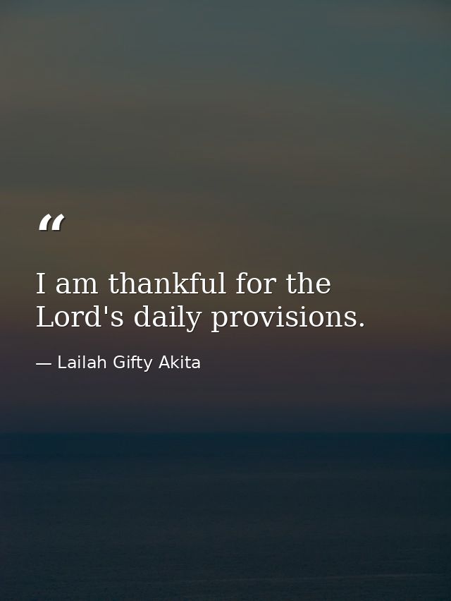 I am thankful for the Lord's daily provisions. — Lailah Gifty Akita