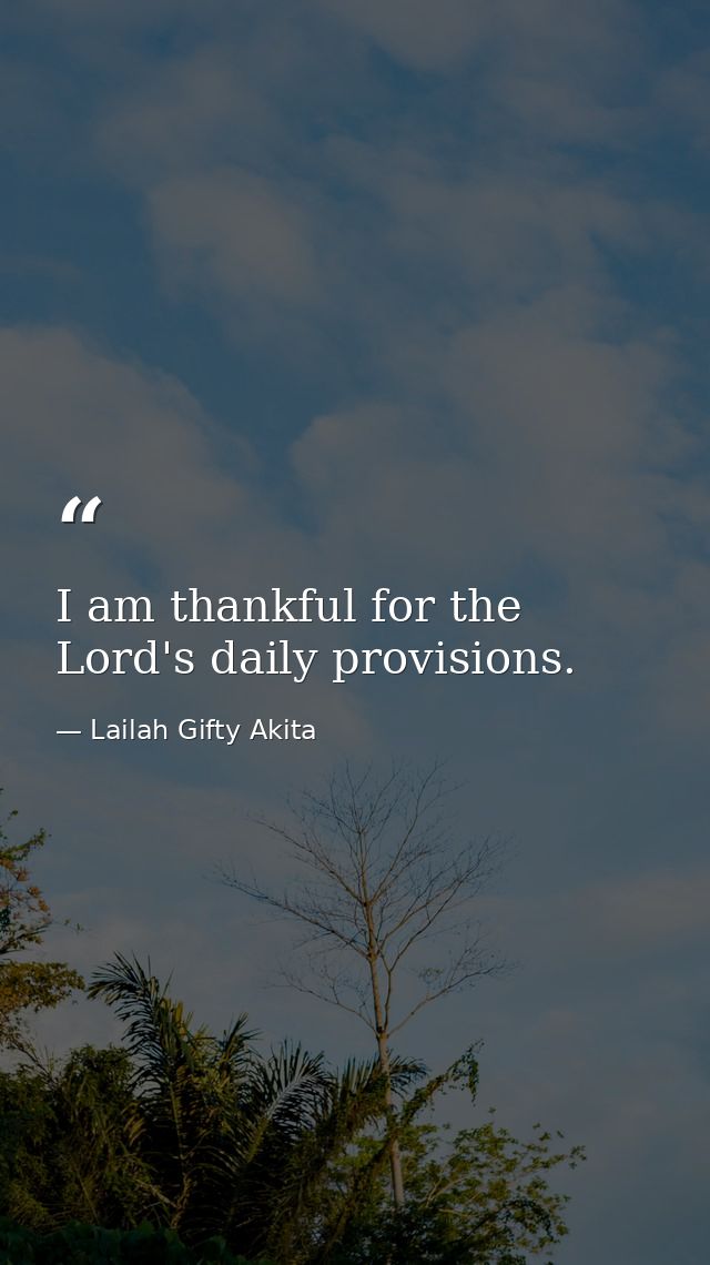 I am thankful for the Lord's daily provisions. — Lailah Gifty Akita