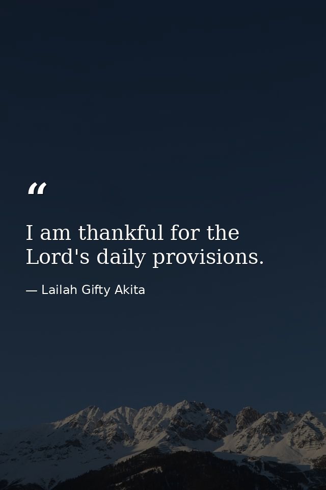I am thankful for the Lord's daily provisions. — Lailah Gifty Akita