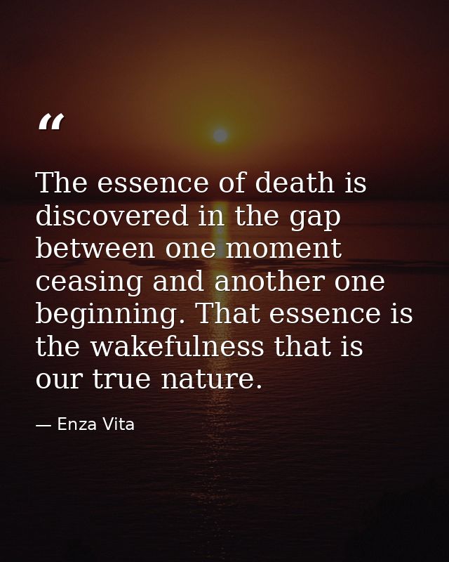 The essence of death is discovered in the gap between one moment ceasing and another one beginning. That essence is the  — Enza Vita