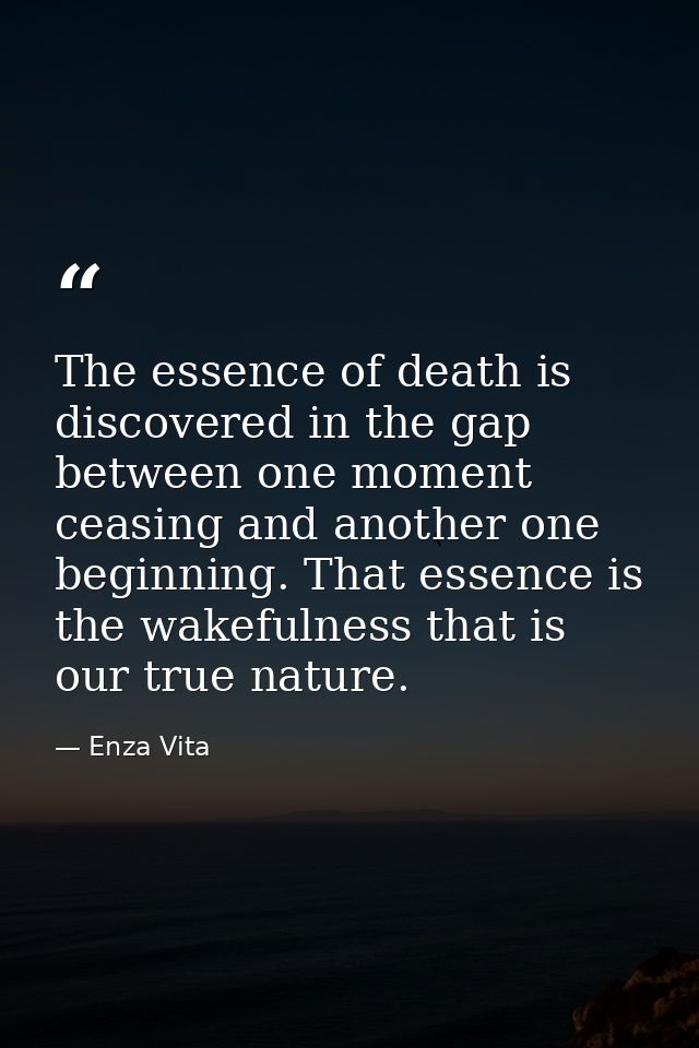 The essence of death is discovered in the gap between one moment ceasing and another one beginning. That essence is the  — Enza Vita