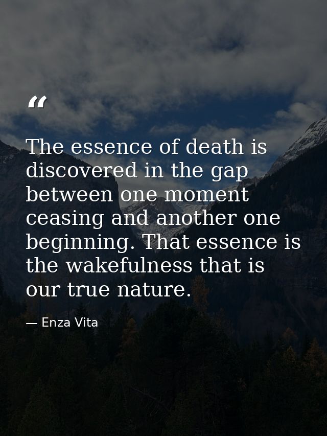 The essence of death is discovered in the gap between one moment ceasing and another one beginning. That essence is the  — Enza Vita