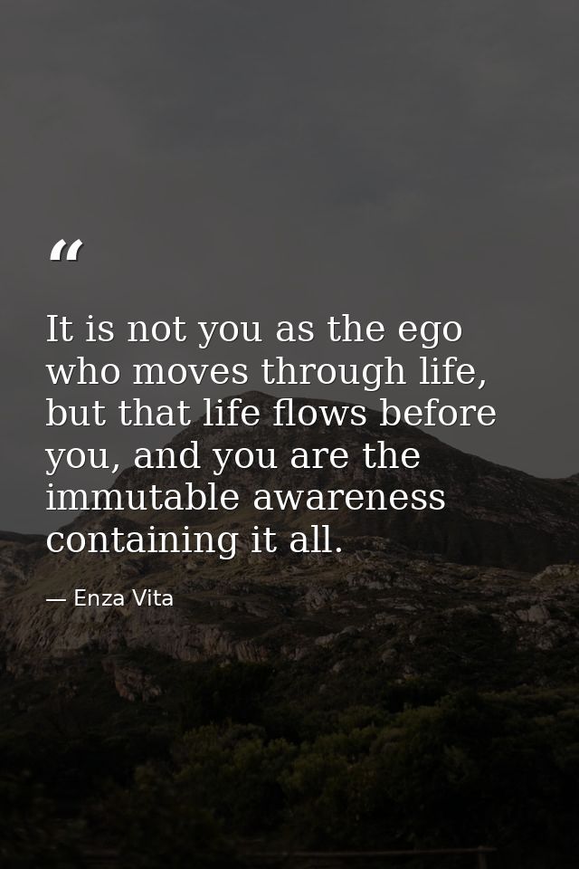 It is not you as the ego who moves through life, but that life flows before you, and you are the immutable awareness con — Enza Vita