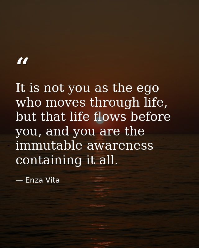 It is not you as the ego who moves through life, but that life flows before you, and you are the immutable awareness con — Enza Vita